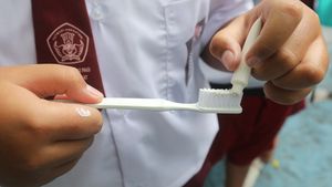 ”Peliharaan” Unik Anak Muda China: Dari Odol, Ragi, sampai Batu