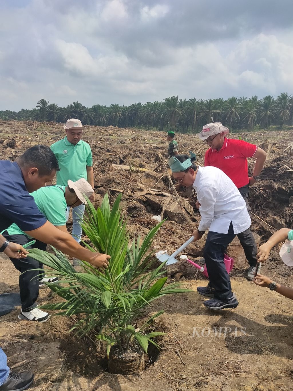Ketua Umum Gapki Eddy Martono (berbaju putih)  menanam kelapa sawit milik anggota Koperasi Berkat Ridho dalam program Peremajaan Sawit Rakyat di Desa Kijang Makmur, Kecamatan Tapung Hilir, Kampar, Riau, Senin (18/9/2023). 
