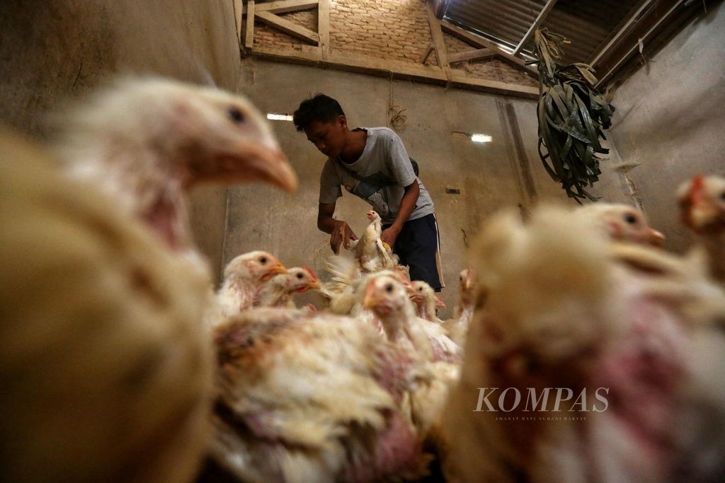 https://assetd.kompas.id/nkriPdWPx-PDVGp-ml9rS1Ub8t0=/1024x683/filters:watermark(https://cdn-content.kompas.id/umum/kompas_main_logo.png,-16p,-13p,0)/https%3A%2F%2Fkompas.id%2Fwp-content%2Fuploads%2F2021%2F04%2F9b21c836-da26-4042-83a0-d034570e8709_jpg.jpg