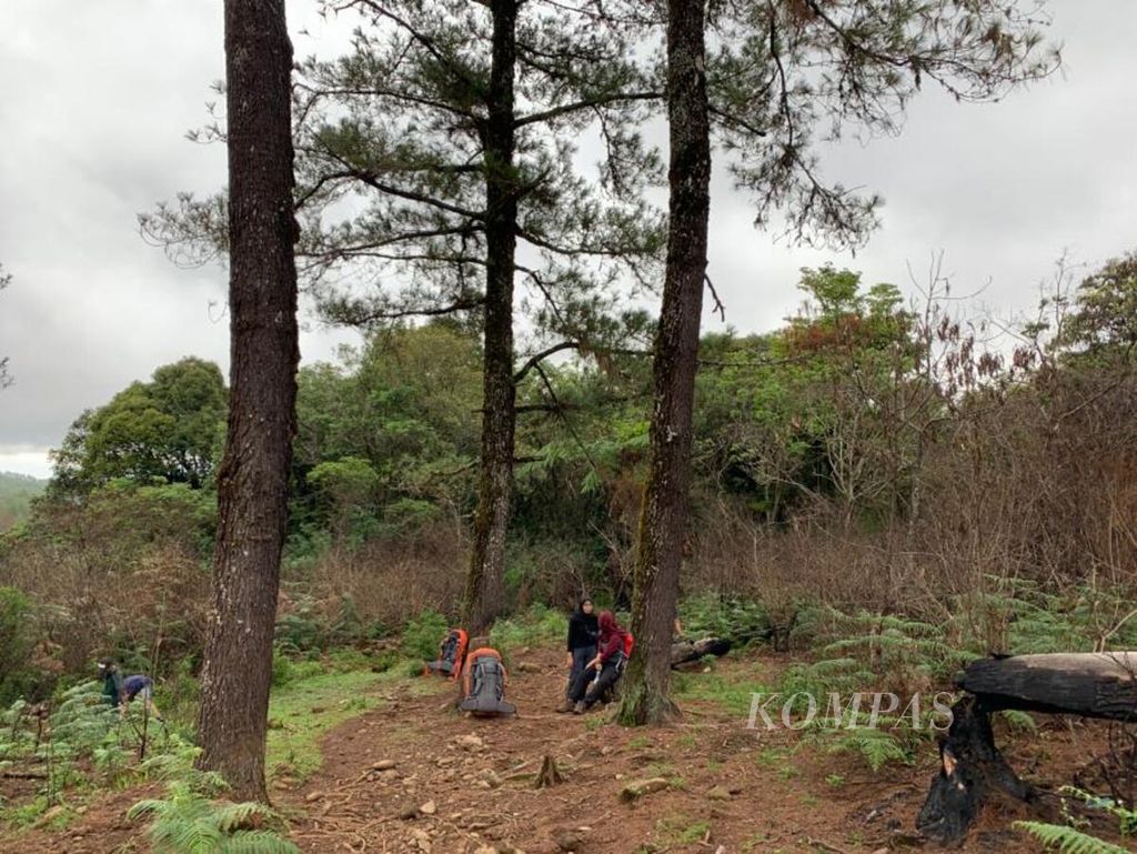 https://assetd.kompas.id/nuop-EtkacGOLUbQs3cwOdR1gA8=/1024x769/filters:watermark(https://cdn-content.kompas.id/umum/kompas_main_logo.png,-16p,-13p,0)/https%3A%2F%2Fkompas.id%2Fwp-content%2Fuploads%2F2020%2F01%2Fb6b589d1-b2a4-4aaf-b3a7-c0540062c0b5_jpg.jpg