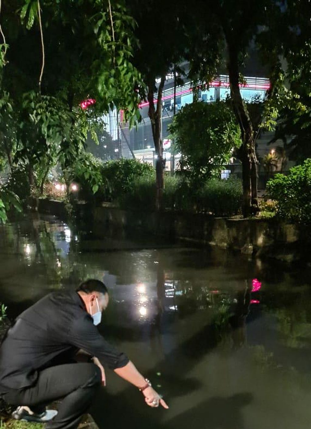 https://assetd.kompas.id/o1Z8jvzJLyfq8JUkgSZphkgnNAI=/1024x1412/https%3A%2F%2Fkompas.id%2Fwp-content%2Fuploads%2F2021%2F02%2F8344EFD9-12BF-437F-B83E-99A32CC280BC_1614511229.jpeg