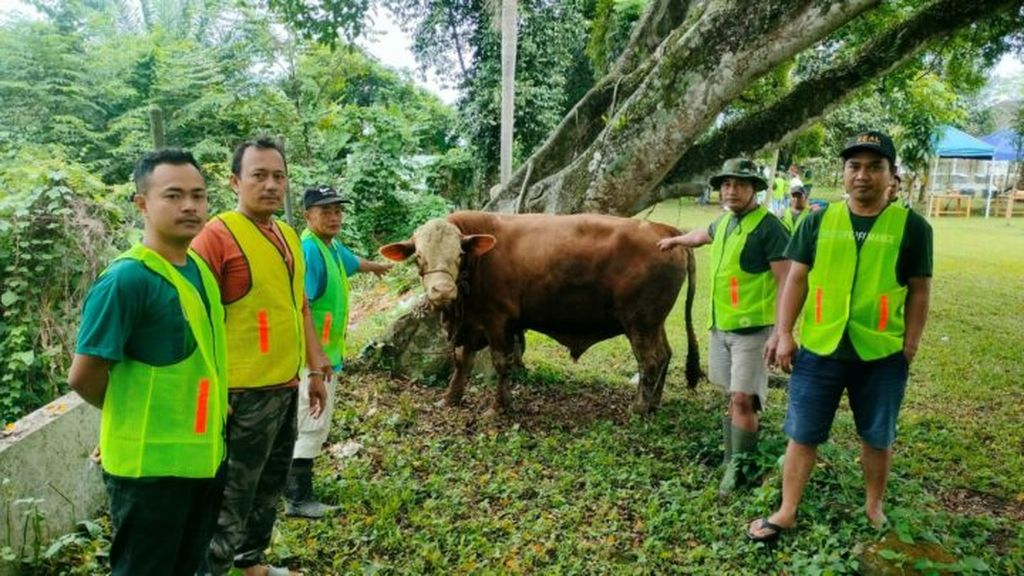 https://assetd.kompas.id/oCNPkyPbAeGVE-J7veI3oKyOUHc=/1024x576/https%3A%2F%2Ftaja.kompas.id%2Fwp-content%2Fuploads%2F2024%2F06%2FHewan-Kurban-720x405.jpg