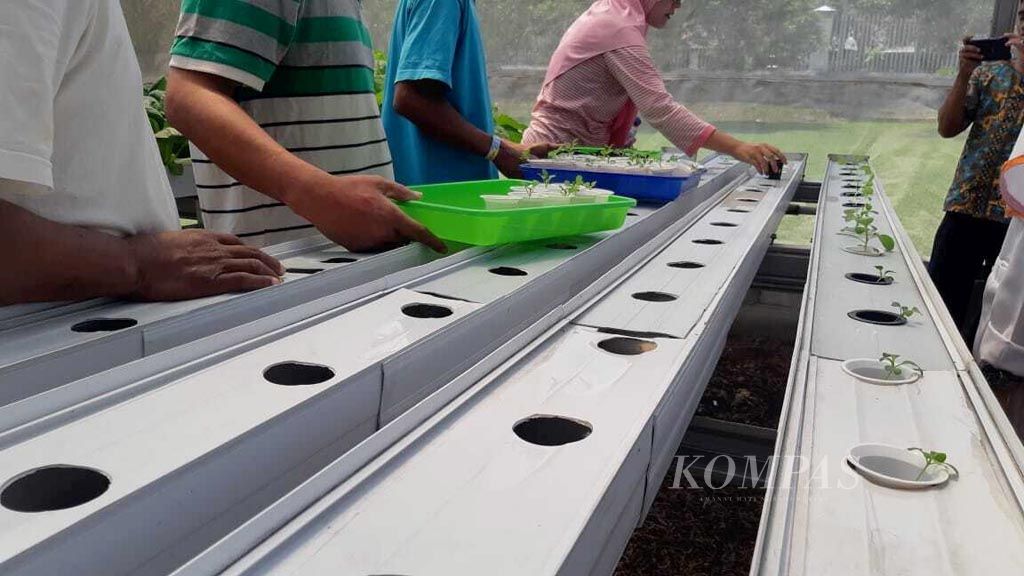 https://assetd.kompas.id/oKZFRQreahzce7VHrkkhgQqF5QY=/1024x576/filters:watermark(https://cdn-content.kompas.id/umum/kompas_main_logo.png,-16p,-13p,0)/https%3A%2F%2Fkompas.id%2Fwp-content%2Fuploads%2F2019%2F10%2F20191008_ENGLISH-TEMATIK-ODGJ_C_web_1570543325.jpg