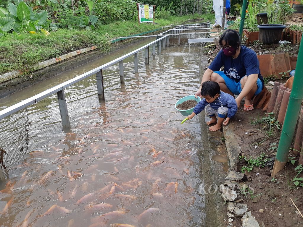 https://assetd.kompas.id/p4VHsRYXxpR1tTpyPXku9P6n-1E=/1024x768/filters:watermark(https://cdn-content.kompas.id/umum/kompas_main_logo.png,-16p,-13p,0)/https%3A%2F%2Fkompas.id%2Fwp-content%2Fuploads%2F2021%2F01%2Feb54d100-35c3-4170-8be7-80b897c85742_jpg.jpg