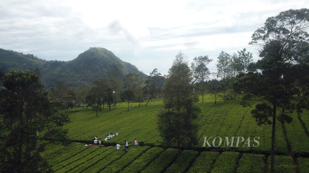 https://assetd.kompas.id/p9sKokzeDKce02ufVntswCu4s_M=/1024x576/filters:watermark(https://cdn-content.kompas.id/umum/kompas_main_logo.png,-16p,-13p,0)/https%3A%2F%2Fkompas.id%2Fwp-content%2Fuploads%2F2021%2F09%2F755372c8-e210-4b5b-9edb-dbef287cc55e_jpg.jpg