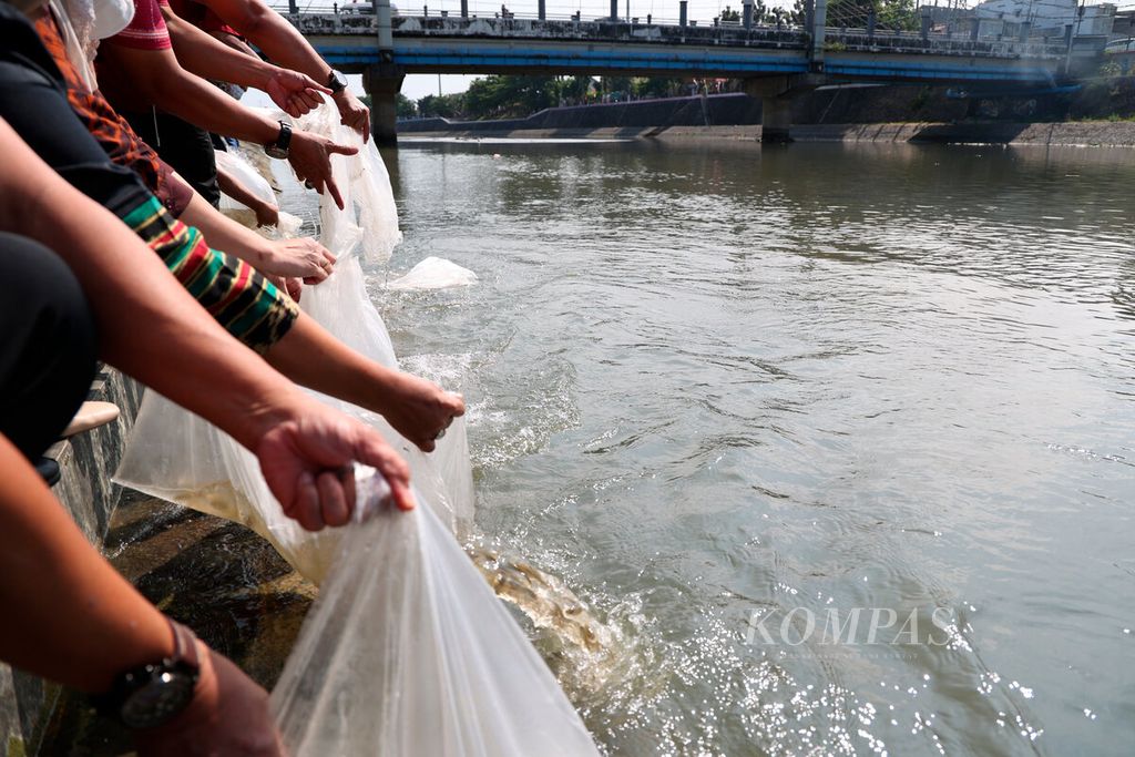 Petugas dan pejabat dari Dinas Perikanan Kota Semarang secara simbolis melepaskan benih ikan di aliran Sungai Kanal Barat, Simongan, Kota Semarang, Jawa Tengah, Selasa (9/8/2022).