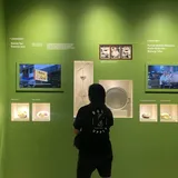 Memori Cita Rasa Kelapa Gading