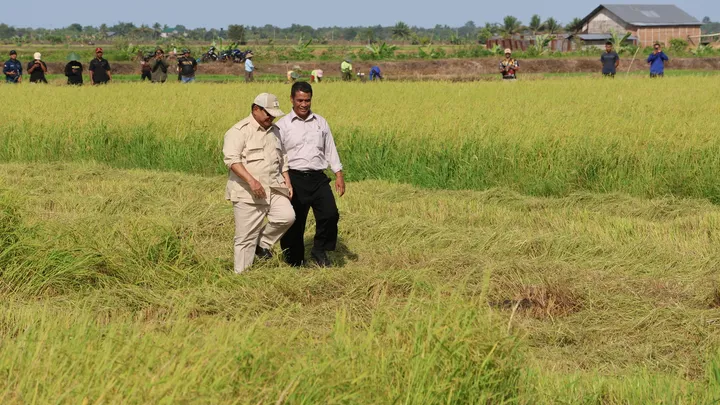 Teluku untuk artikel Serba Dadakan Bersama Presiden Prabowo