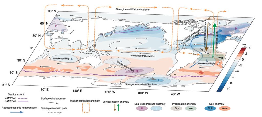 Skema respons iklim global terhadap melambatnya AMOC. Sumber: Bryam Orihuela-Pint, dkk. (Nature Climate Change, 2