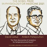 Mengapa Pembelajaran Mesin Layak Mendapat Nobel Fisika 2024?