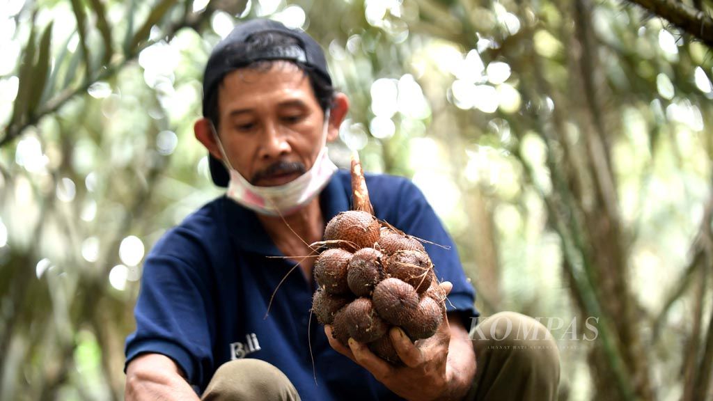https://assetd.kompas.id/qMZ23lG8Rua4D3NvVXWnHNozSlo=/1024x576/filters:watermark(https://cdn-content.kompas.id/umum/kompas_main_logo.png,-16p,-13p,0)/https%3A%2F%2Fkompas.id%2Fwp-content%2Fuploads%2F2018%2F05%2F494179_getattachmenta8f87e52-3a4a-4c1c-aca1-f2f79eb8a632485565.jpg