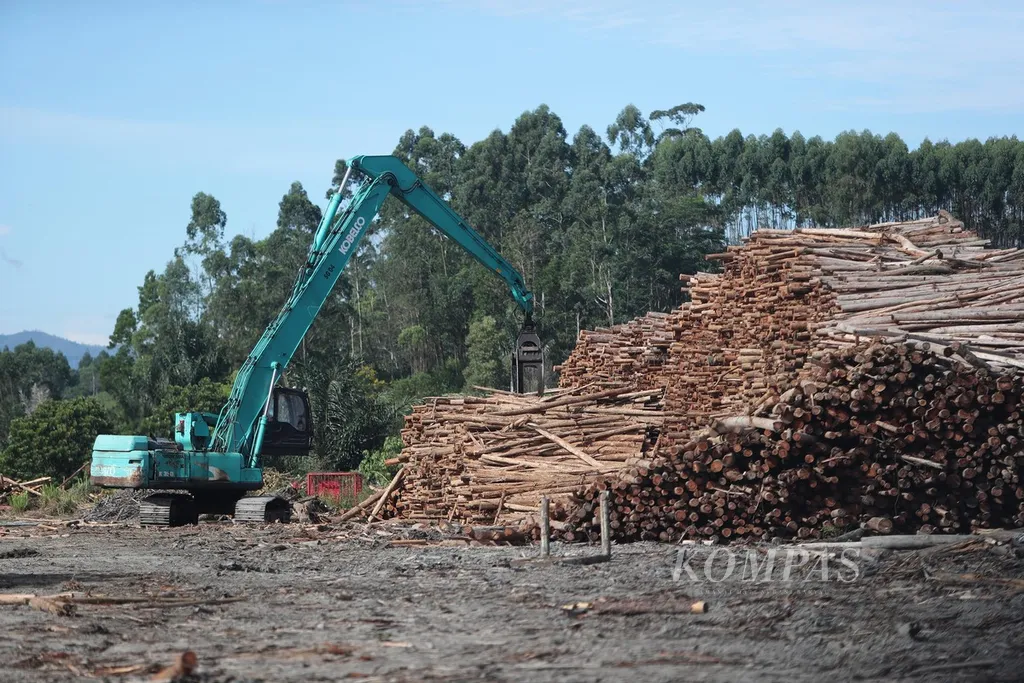 Alat berat digunakan untuk membongkar batang kayu Eucalyptus untuk diolah menjadi pulp (bubur kertas) di pabrik milik PT Toba Pulp Lestari Tbk, Senin (8/8/2022). Perusahaan yang berada di Kecamatan Parmaksian, Kabupaten Toba, Sumatera Utara, ini setiap hari mampu memproduksi pulp sebanyak 570 ton. Pulp yang dihasilkan sebagian besar untuk memenuhi pasar dalam negeri, sedangkan sisanya (21 persen) diekspor ke China, Taiwan, dan Vietnam KOMPAS/TOTOK WIJAYANTO (TOK) 07-08-2022