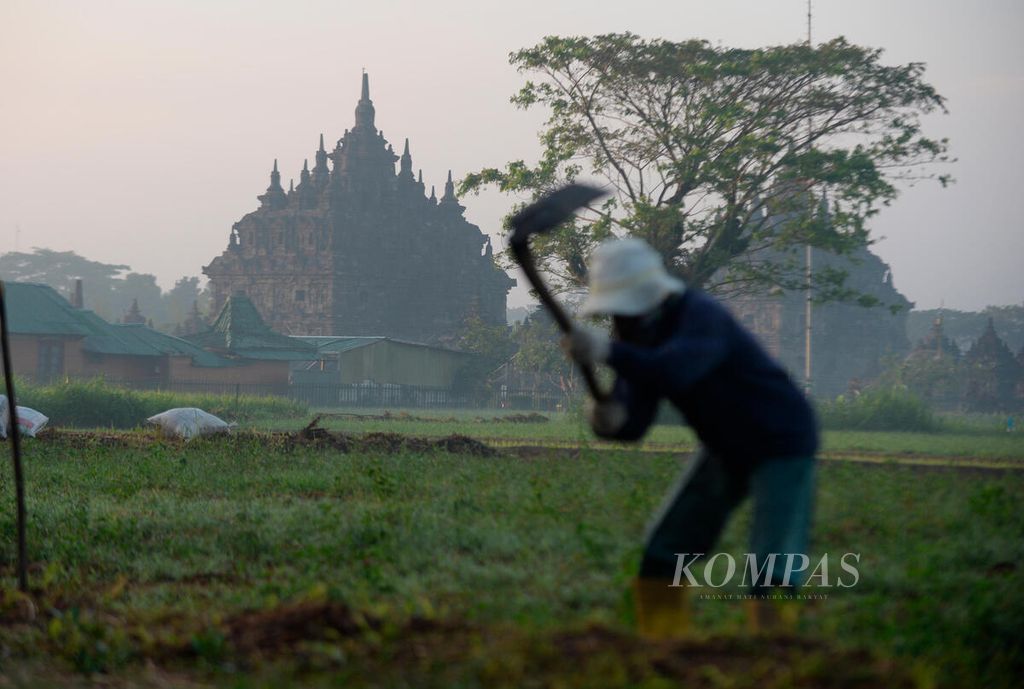 Candi Plaosan yang selama berabad-abad tidak terlepas dari budaya agraris masyarakat sekitarnya di Dukuh Plaosan, Desa Bugisan, Kecamatan Prambanan, Kabupaten Klaten (14/6/2022). 