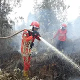70 Hektar Lahan di Ogan Komering Ilir Terbakar, Sumsel Siapkan Skema Pencegahan