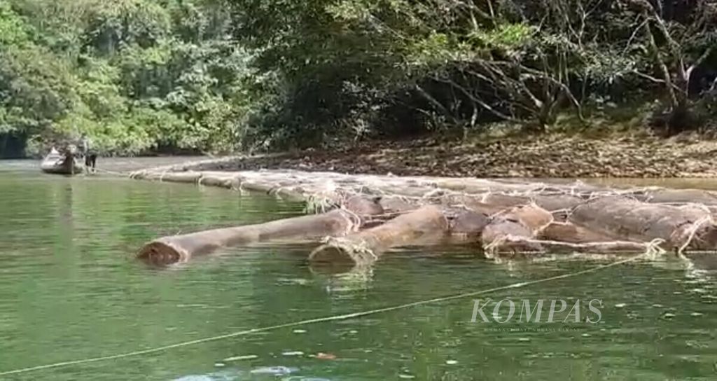 Illegal timber from the Bukit Rimbang Baling Wildlife Reserve forest, Kampar, Riau was washed away in the Subayang River, at the end of June 2019.