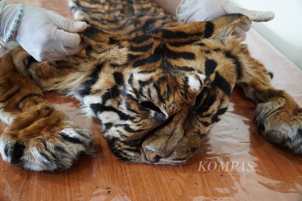 https://assetd.kompas.id/riOI4mtEruVyxXPu65A85JG3oRM=/1024x684/filters:watermark(https://cdn-content.kompas.id/umum/kompas_main_logo.png,-16p,-13p,0)/https%3A%2F%2Fkompas.id%2Fwp-content%2Fuploads%2F2019%2F07%2FDSC04413_1563277606.jpg