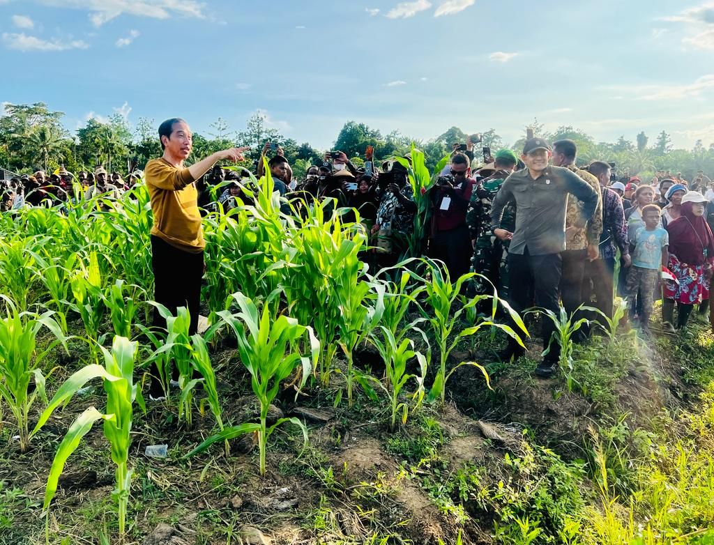 Presiden Joko Widodo saat meninjau lumbung pangan dalam kunjungan kerjanya di Kabupaten Keerom, Provinsi Papua, Selasa (21/3/2023).