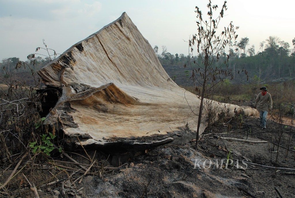 https://assetd.kompas.id/rmyVA98hR8bbWgtP6JPEjkzDrCQ=/1024x687/filters:watermark(https://cdn-content.kompas.id/umum/kompas_main_logo.png,-16p,-13p,0)/https%3A%2F%2Fkompas.id%2Fwp-content%2Fuploads%2F2019%2F09%2F20190929ITAdSILO.jpg