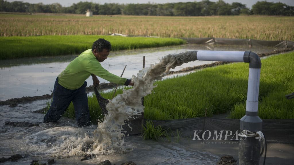 Pemilik lahan mengecek aliran air dari instalasi mesin pompa air yang tersambung dengan jaringan listrik di Desa Tangkil, Kecamatan Sragen, Kabupaten Sragen, Jawa Tengah, Rabu (17/7/2019). Pemasangan pompa air yang tersambung dengan jaringan listrik membantu petani mengoptimalkan fungsi lahan mereka sepanjang tahun.