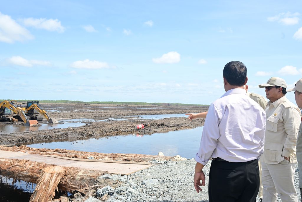 Presiden Prabowo Subianto meninjau lahan rawa yang sedang diolah menjadi pertanian berkelanjutan di Kampung Wanam, Distrik Ilwayab, Kabupaten Merauke, Papua Selatan, Minggu (3/11/2024). Menteri Pertanian Amran Sulaiman mendampingi.