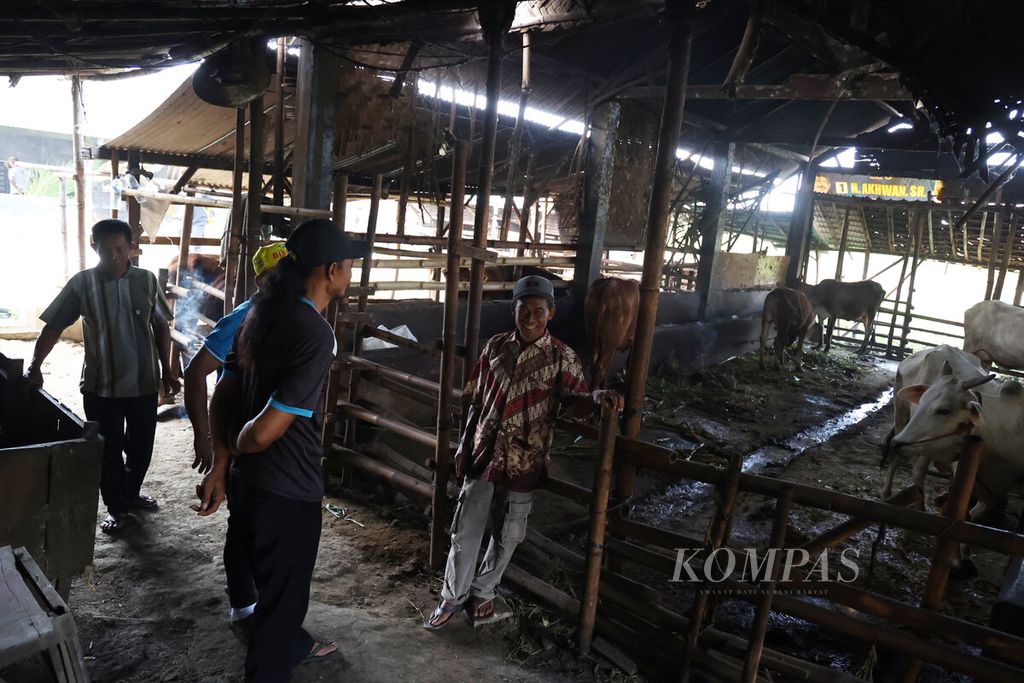 Anggota Kelompok Tani Kismousodo saat pertemuan rutin sebagai peternak sapi di Desa Kuripan, Kecamatan Karangawen, Kabupaten Demak, Jawa Tengah, Selasa (16/9/2025). 