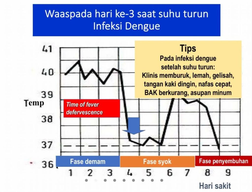 https://assetd.kompas.id/t-0pcQMJxCdUsj_t9OdNKyXQAoQ=/1024x779/https%3A%2F%2Fkompas.id%2Fwp-content%2Fuploads%2F2021%2F06%2FWhatsApp-Image-2021-06-10-at-4.19.56-PM_1623317417.jpeg