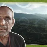 20.000 Hektar Tanah Adat Keerom Beralih Menjadi Perkebunan Sawit