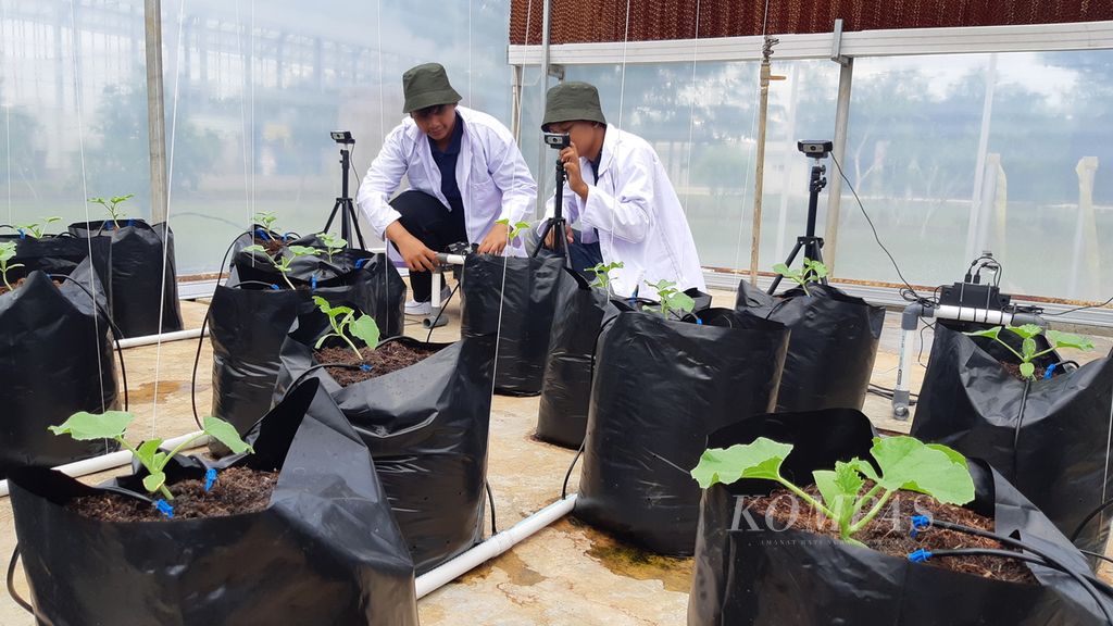 Mahasiswa yang terlibat riset <i>smart farming system</i> meninjau budidaya melon di rumah kaca di Kebun Raya Itera, Kabupaten Lampung Selatan, Lampung, Selasa (13/12/2022).