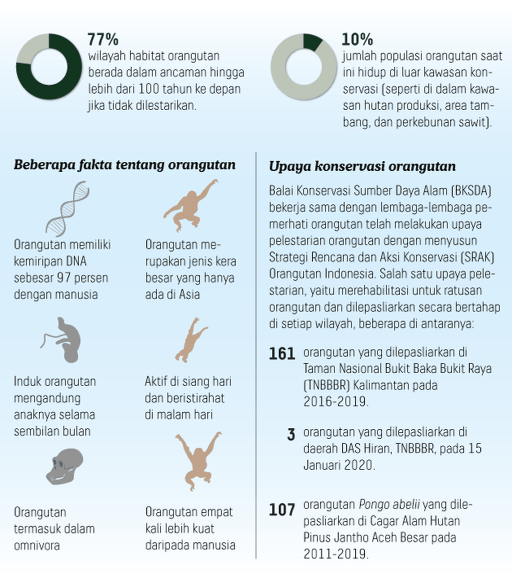https://assetd.kompas.id/u9ypOpGGXTU32lk7wuh1RKhX0qs=/1024x1146/https%3A%2F%2Fkompas.id%2Fwp-content%2Fuploads%2F2020%2F08%2F20200818_H30_T3_otan_2_mumed_1597749988.png