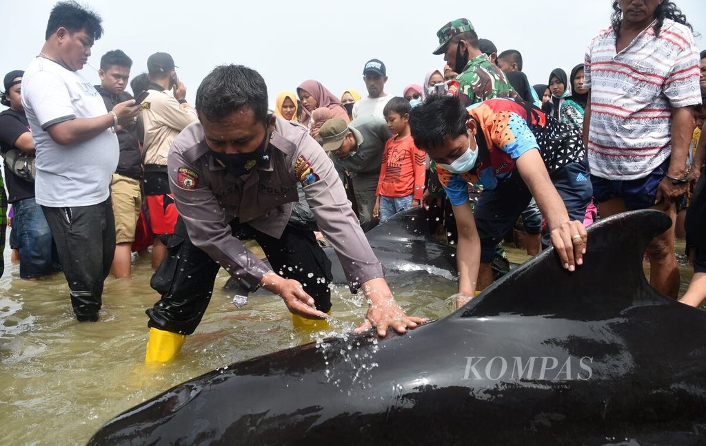 https://assetd.kompas.id/uJdLQft-fKWg1g8XpUyfVLgWJ2E=/1024x648/filters:watermark(https://cdn-content.kompas.id/umum/kompas_main_logo.png,-16p,-13p,0)/https%3A%2F%2Fkompas.id%2Fwp-content%2Fuploads%2F2021%2F02%2F23c54cff-7385-4b59-b9a7-0931c0862149_jpg.jpg