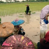 Kesejahteraan Petani Perlu Perhatian Pemerintah