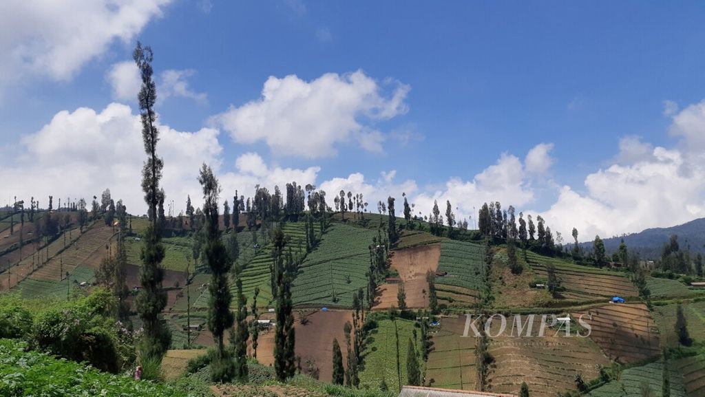 https://assetd.kompas.id/utjulI707G5mwXj4W8P0yBnNXSI=/1024x577/filters:watermark(https://cdn-content.kompas.id/umum/kompas_main_logo.png,-16p,-13p,0)/https%3A%2F%2Fkompas.id%2Fwp-content%2Fuploads%2F2019%2F05%2F20190502diaO_1556848690.jpg