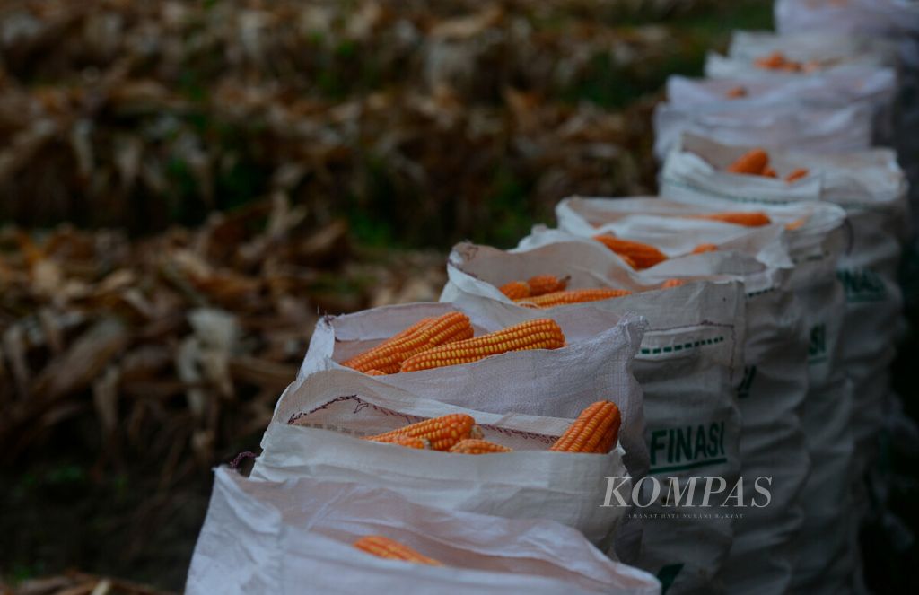 https://assetd.kompas.id/vXpD9BlxXTcVwE9a_aE7idYoFLQ=/1024x663/filters:watermark(https://cdn-content.kompas.id/umum/kompas_main_logo.png,-16p,-13p,0)/https%3A%2F%2Fkompas.id%2Fwp-content%2Fuploads%2F2021%2F05%2F20210518WEN18_1621315687.jpg