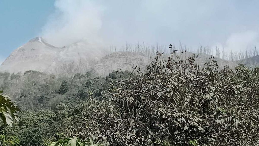 Kondisi Gunung Lewotobi Laki-laki di Flores Timur pada Rabu (5/11/2024) dari Desa Klatanlo, Kecamatan Wulanggutang. Pada Minggu (3/11/2024) tengah malam, gunung api ini erupsi tiba-tiba, tanpa peringatan dini, sehingga menyebabkan jatuhnya korban jiwa.