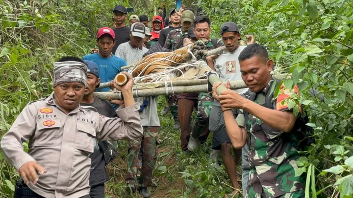 Teluku untuk artikel Catatan 2024: Masa Depan Konservasi Satwa Kunci Lampung Hadapi Tantangan Besar