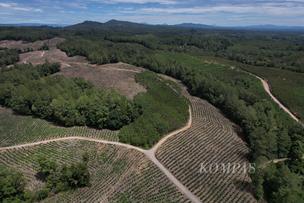 Lansekap kebun eucalyptus milik PT Toba Pulp Lestari Tbk. (TPL) di kabupaten Simanglungun, Sumatera Utara, Minggu (7/8/2022). Dalam sehari, TPL mampu menghasilkan 570 ton pulp atau bahan serat benang kain. KOMPAS/TOTOK WIJAYANTO (TOK) 07-08-2022