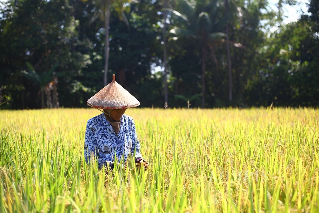 https://assetd.kompas.id/wF9MCD5QY0IiQHR6VapqaWhweRA=/1024x683/filters:watermark(https://cdn-content.kompas.id/umum/kompas_main_logo.png,-16p,-13p,0)/https%3A%2F%2Fkompas.id%2Fwp-content%2Fuploads%2F2019%2F10%2F6cc58118-ac18-4e57-a33b-ef2741510cd4_jpg.jpg