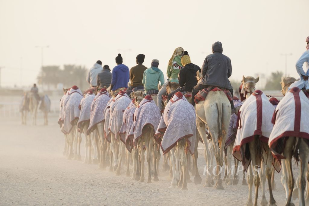Sejumlah lelaki menunggang unta yang sedah dilatih untuk pacuan di kawasan Al Shahaniya, Qatar, Rabu  (21/12/2022_