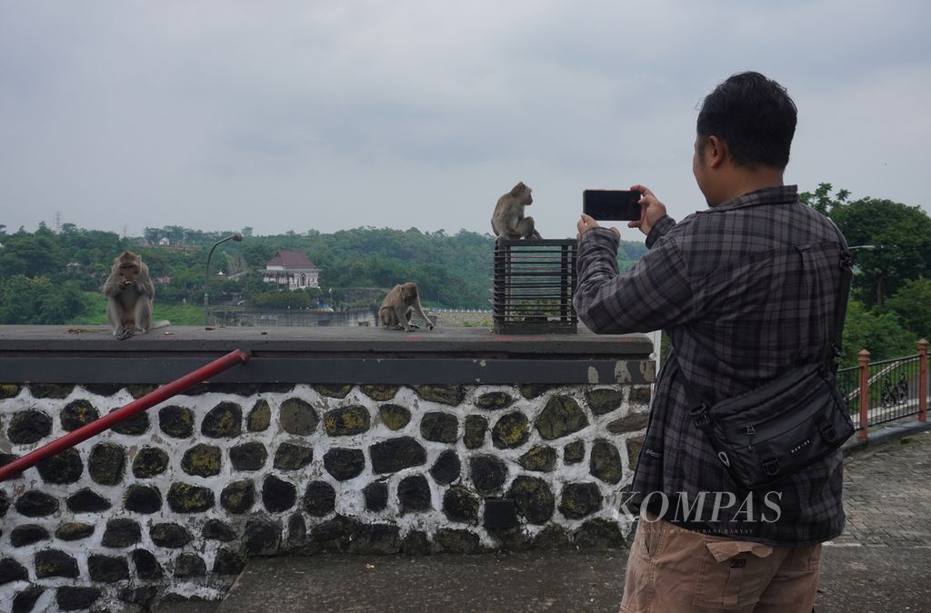 Wisatawan mengabadikan aktivitas para monyet ekor panjang di Goa Kreo, Kecamatan Gunungpati, Kota Semarang, Jawa Tengah, Minggu (29/12/2024). Selama libur Natal dan Tahun Baru, ada sekitar 500 wisatawan yang berkunjung ke Goa Kreo. Mereka bisa berinteraksi dengan ratusan monyet penghuni Goa Kreo yang telah jinak. 