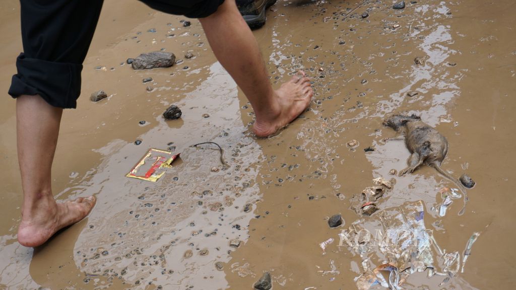 Kondisi pascabanjir di Perum Pondok Gede Permai, Jatirasa, Jatiasih, Kota Bekasi, Jawa Barat, Kamis (2/1/2020). Masyarakat terdampak banjir dan longsor yang terjadi di wilayah Jabodetabek berisiko mengalami berbagai jenis penyakit akibat lingkungan yang kotor, seperti leptospirosis. Penyakit leptospirosis merupakan penyakit zoonosis yang patut diwaspadai.