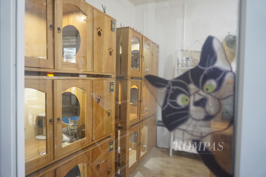 Kandang-kandang artistik yang menjadi 'kamar hotel' bagi kucing-kucing peliharaan yang dititipkan di Ploy Cat Hotel, Sleman, Daerah Istimewa Yogyakarta (22/7/2022).