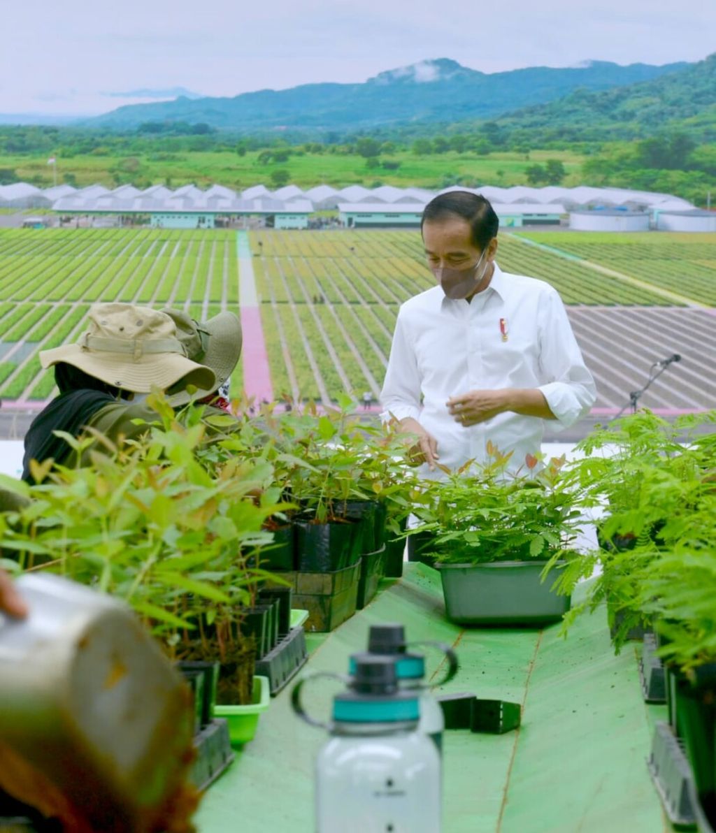 https://assetd.kompas.id/xV4BFUil2fe8mrlkShTHMgWAM6o=/1024x1192/https%3A%2F%2Fkompas.id%2Fwp-content%2Fuploads%2F2021%2F11%2FWhatsApp-Image-2021-11-19-at-1.01.15-PM_1637305660.jpeg