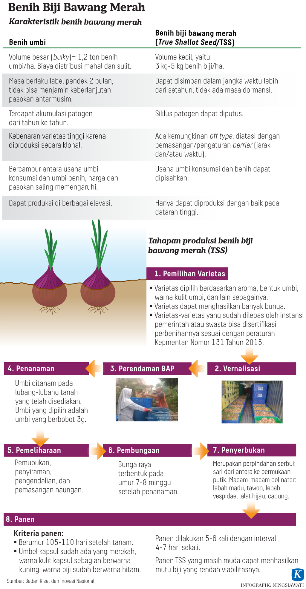 https://assetd.kompas.id/xwrxGj2rfW0Orw9SrNmrdb7amHM=/1024x1972/https%3A%2F%2Fasset.kgnewsroom.com%2Fphoto%2Fpre%2F2023%2F03%2F12%2Fa543dbdf-79a7-4c19-94ab-284cccefa68d_png.png