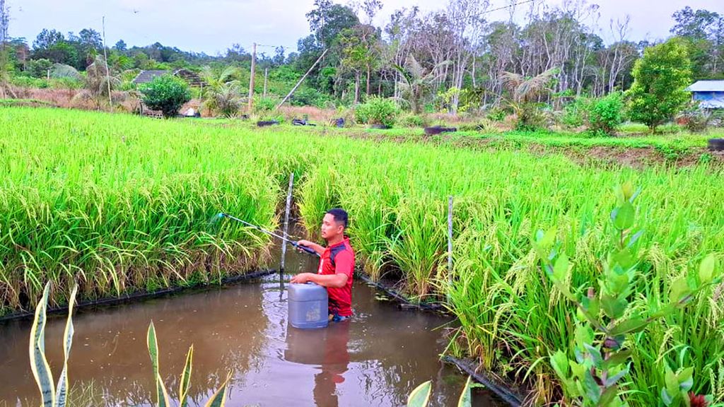 Pertamina PFmuda