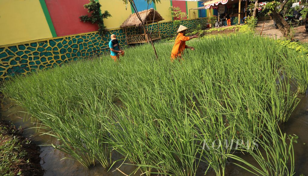 https://assetd.kompas.id/yaRa52wkaRUELl8OriOm9vDwSK4=/1024x585/filters:watermark(https://cdn-content.kompas.id/umum/kompas_main_logo.png,-16p,-13p,0)/https%3A%2F%2Fkompas.id%2Fwp-content%2Fuploads%2F2020%2F08%2F5a40de91-d8c7-43b8-8efc-60c2dcc37e7b_jpg.jpg