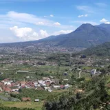 Yuk, Ngopi Di antara Kabut dan Dinginnya Alam Pegunungan