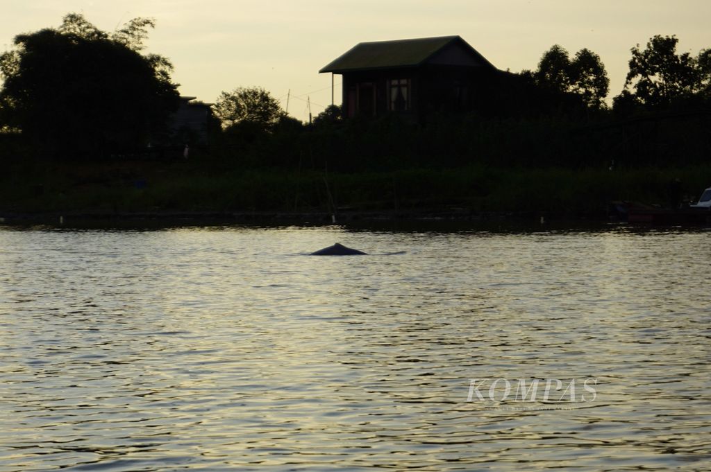 https://assetd.kompas.id/ze0xcAyrzJ4vEM1Unhu0ZGOa8qk=/1024x681/filters:watermark(https://cdn-content.kompas.id/umum/kompas_main_logo.png,-16p,-13p,0)/https%3A%2F%2Fkompas.id%2Fwp-content%2Fuploads%2F2020%2F01%2F3c680011-6b14-4d56-9236-37cf55b79869_jpeg.jpg